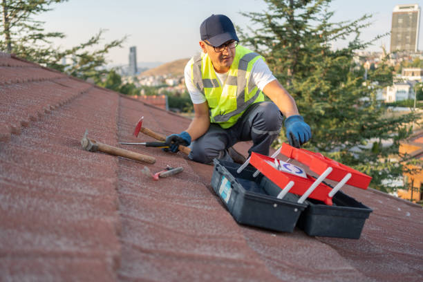 Best Historical Building Siding Restoration  in Palos Verdes Estates, CA